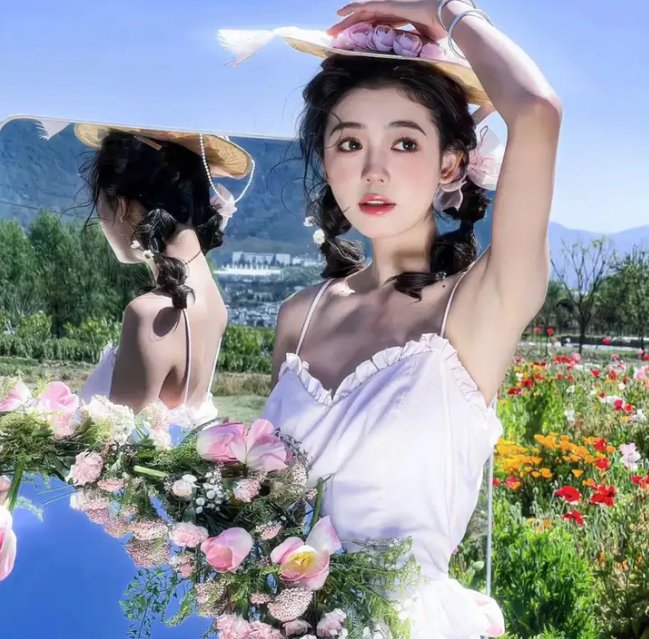 大象之梦